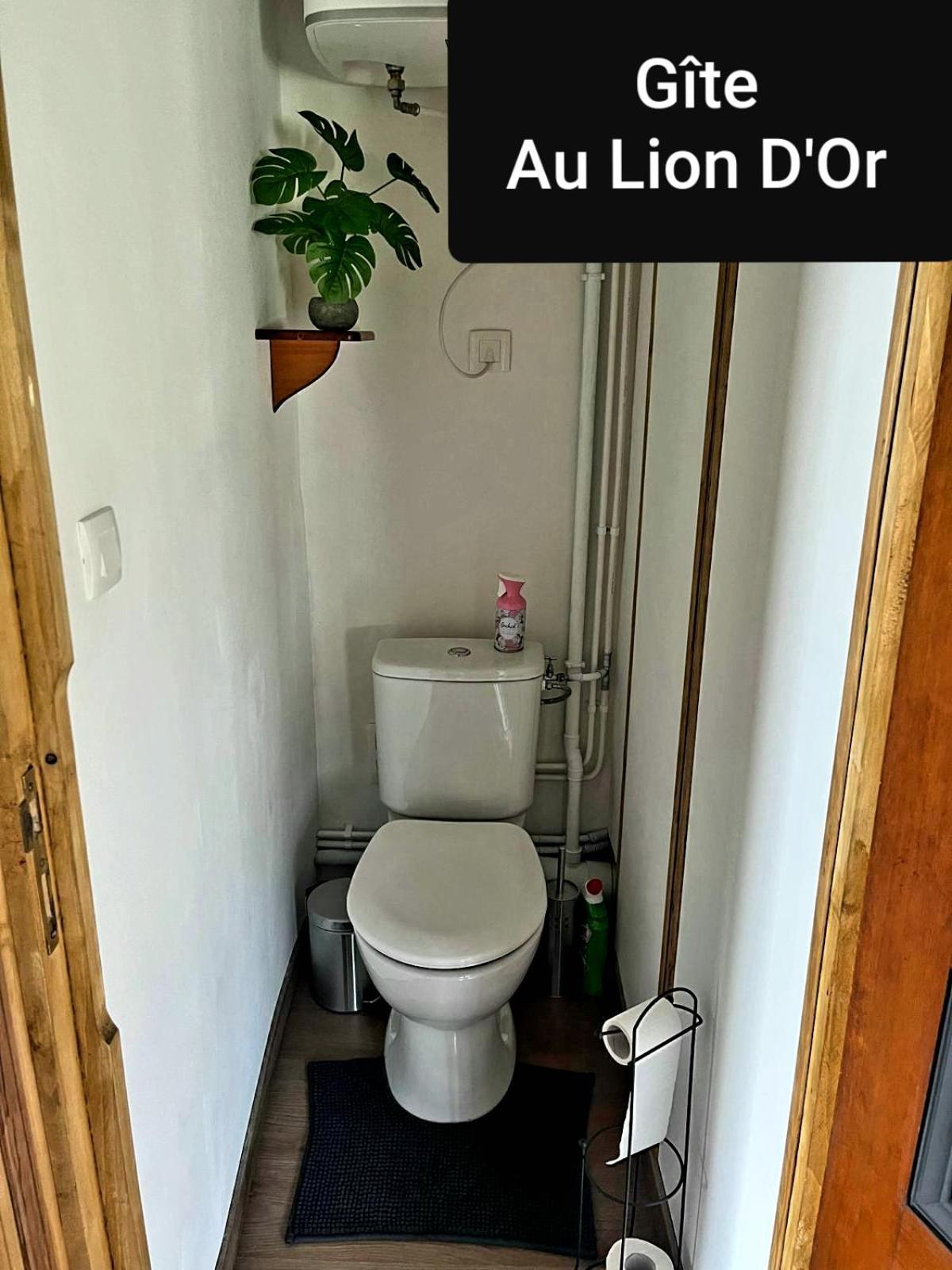 Au Lion D'Or Apartment Les Roches-l'Eveque Bagian luar foto